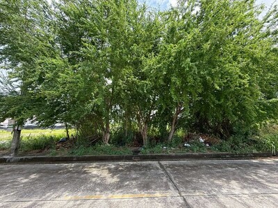 ขายที่ดินเปล่า เมืองชลบุรี ทำเลดี เขตชุมชน ซ.นารถมนตเสวี 26 เสม็ด