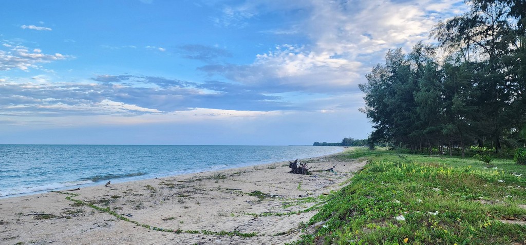 ขายที่ดินติดทะเลชุมพร หน้าติดทะเล หาดบ้านหนองบัว อ.ละเเม จ.ชุมพร แปลงละ 361 ตรว ทำเลงาม ถูกสวยทำเลดี