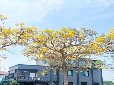 MRTแจ้งวัฒนะ14 โฮมออฟฟิศ 3 ชั้น วิวสวน ย่านประชาชื่น-งามวงศ์วาน 