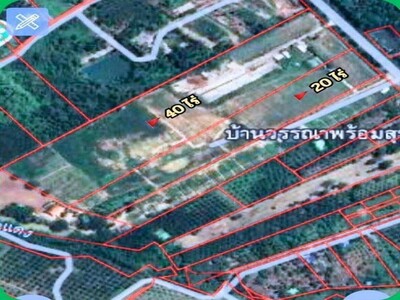 ขายที่ดินเปล่า 60 ไร่ ทำเลทอง หนองใหญ่ – ชลบุรี ที่ดินผังม่วง
