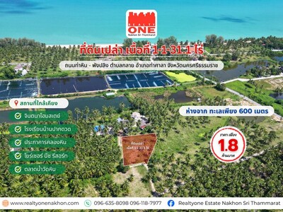 ที่ดินเปล่า 1-1-31.1 ไร่  ห่างจากทะเลเพียง 600 เมตร