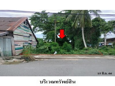 ขายที่ดินว่างเปล่า ต.ท่าข้าม อ.พุนพิน จ.สุราษฎร์ธานี