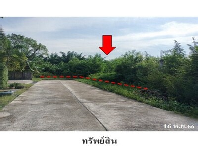 ขายที่ดินว่างเปล่า ถ.สายสุราษฎร์ธานี-นครศรีธรรมราช  กาญจนดิษฐ์ 