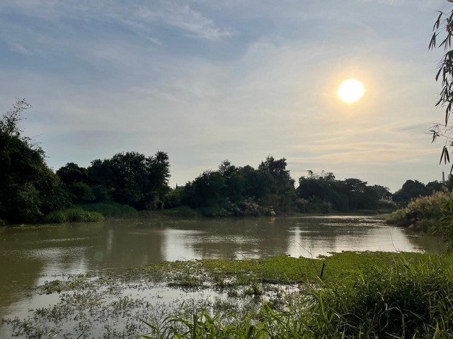 ขายด่วน ลดราคาเหมือนเขียนราคาผิด ที่ดินสวยๆ ที่ดินติดคลองหัวรอ อยู่ในอำเภอเมืองพระนครศรีอยุธยา