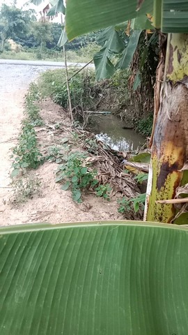 กุมภานี้มีทรัพยืดีมานำเสนอราคาต่อรองได้ ขาย จ.สิงห์บุรี  วิถีไทยอยู่อย่างไทย  ตำบลโพทะเล วิถีไทย 262 วา ต.โพทะเล อ.ค่ายบางระจัน สิงห์บุรี 500000บาท