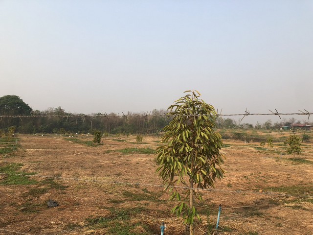 กุมภานี้มีทรัพยืดีมานำเสนอราคาต่อรองได้  ขาย ธรรมชาติเนินเขา ที่ดินโฉนดแบ่งขาย สวยๆ ท่ามกลางธรรมชาติหล่มเก่า ดินดีทำเกษตรงาม  ที่ดินดีสมบูรณ์ หล่มเก่า เพชรบูรณ์ ใกล้ภูทับเบิก โทร 0968821857