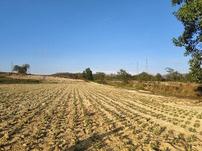ขายที่ดินนิคมพัฒนาระยอง  83-0-44 ไร่