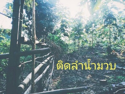คุยง่ายขายคล่องให้ทางเลือก ที่ดินติดลำธารน้ำมวบ ใสไหลฉ่ำตลอดปี จ.