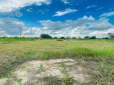 ขายที่ดินเปล่า ทำเลทอง ใกล้ตัวอำเภอไพรบึง เพียงไม่ถึง 1 กม.จ ศรีส