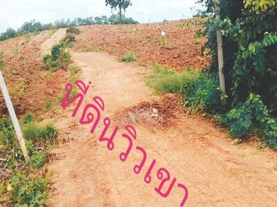 คุยง่ายขายคล่องทางเลือก ที่บนเนินเขา สูงจากน้ำทะเล หล่มเก่า เพชรบ