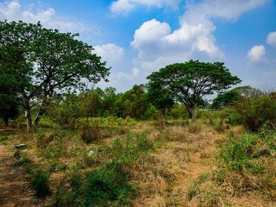 P2084 ขาย ที่ดินเปล่า 407 ตรว. ในหมู่บ้าน K C Garden Home มีนบุรี