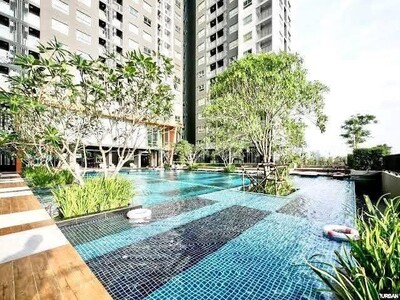 ให้เช่า The Trust Condo Pattaya  พิกัด  ติดถนนสุขุมวิท พัทยาใต้ 