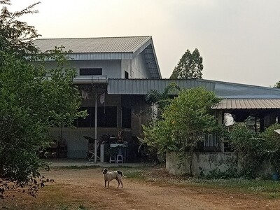 ขายโรงงาน 2 ไร่ 2 งาน 73 ตร.ว ตำบลวังอิทก อำเภอบางระกำ จังหวัดพิษ