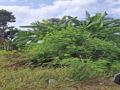 ขายที่ดินถมแล้ว 6 ไร่เศษ ใกล้อ่างเก็บน้ำรัชโลทร  อ.บ่อทอง จ.ชลบุร