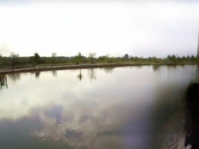 ขายที่บ่อปลา  ติดคลอง  8  ไร่ ต.หนองตีนนก อ.บ้านโพธิ์ จ.ฉะเชิงเทร