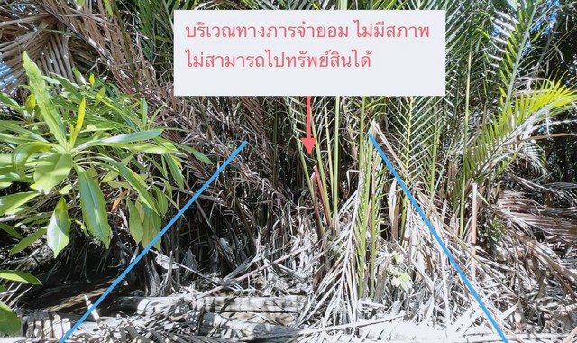 ขายที่ดินว่างเปล่า  อำเภอเมืองสมุทรสาคร สมุทรสาคร (PKK01-10832)