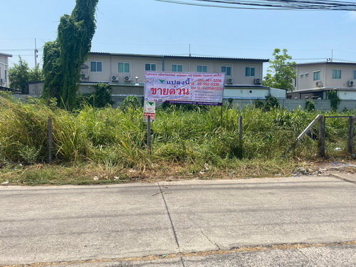 ที่ดินเปล่า 298 ตารางวา(รวม 2 แปลง) ต.ประชาธิปัตย์ อ.ธัญบุรี จ.ปทุมธานี
