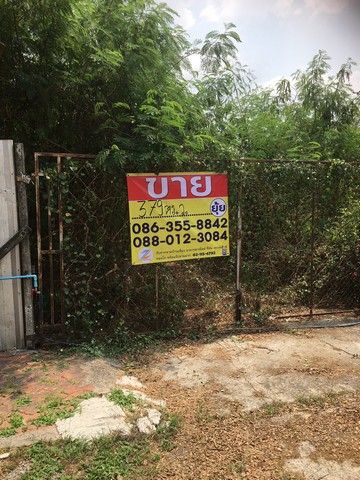 ขายที่ดิน ซอยประชาร่วมใจ74/1  คลองสามวา เนื้อที่ 379 ตารางวา   ZT166 