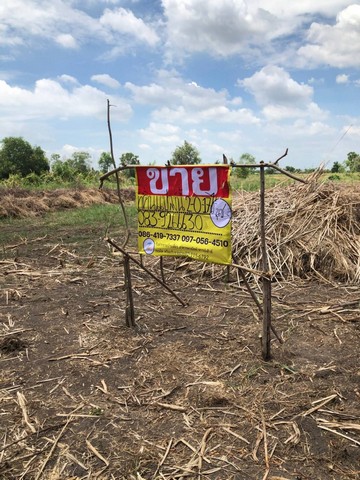 ขายที่ดิน 2-0-17 ไร่ ติดถนน   ซ.คลองห้าตะวันตก 23  คลองหลวง จ.ปทุมธานี  ZJ0040 