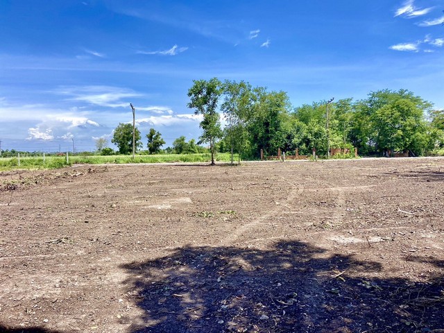 ขายที่ดินเปล่า ถมแล้ว 2 แปลงรวม 1,110 ตารางวา ที่ดินข้างหลังติดทะเลสาป