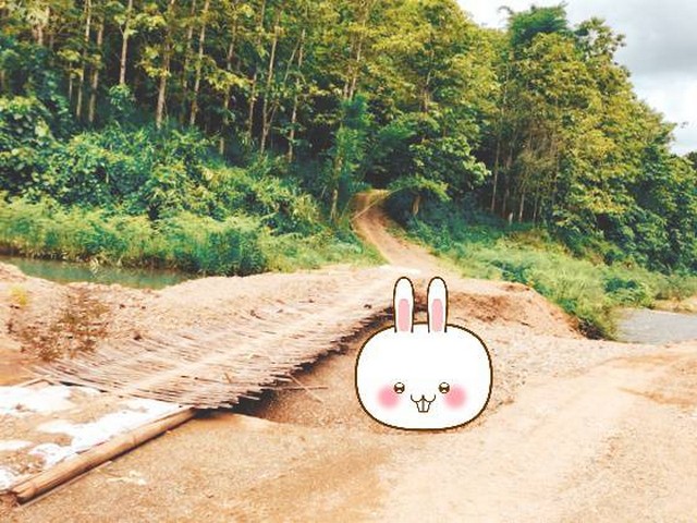มาแล้วค่ะคุณลูกค้าขาา ขายที่ดิน ขายที่ดินติดลำธาร ฉ่ำชุ่มใจเย็นสบาย 1ลบ. 3-0-35ไร่ โทร 0837124115