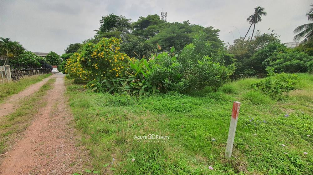 ขายที่ดิน 700 ตร.ว. ใกล้ถนนพระราม 2 เพียง 1 กม. เหมาะสำหรับปลูกบ้านหรือประกอบธุรกิจ