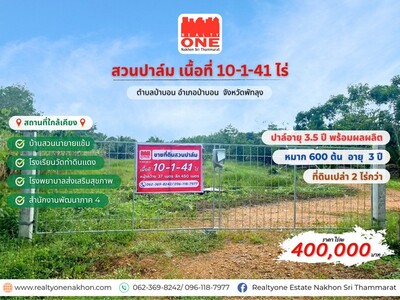 ที่ดินสวนปาล์มพร้อมเก็บเกี่ยว สร้างรายได้ทันที ป่าบอน