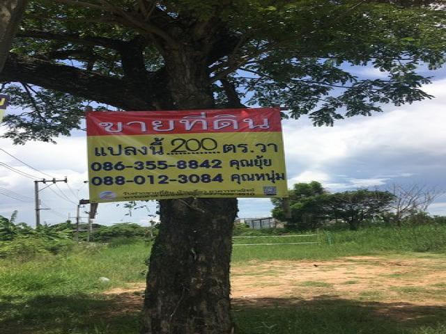 ขายที่ดินแปลงมุม กรุงเทพกรีฑา ซอย 37 แยก 4  เนื้อที่ 200 ตรว.   ZT241 
