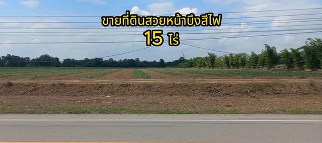 ขายที่ดิน 15-1-34 ไร่ ตรงข้ามสวนสาธารณะบึงสีไฟ  ต.คลองคะเชนทร์ อ.เมือง จ.พิจิตร   ZS164