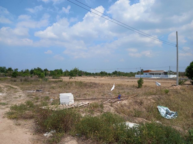 ขาย ที่ดินจัดสรรแบ่งขาย หลังโรงพยาบาลหนองหญ้าไซ จังหวัดสุพรรณบุรี