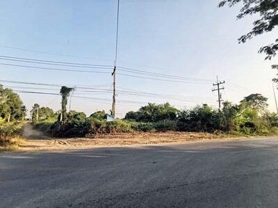 ขาย ที่ดินเปล่า บึงสามัคคี ถนน สลกบาตร-บึงสามัคคี กำแพงเพชร 