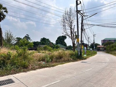 ขายที่ดิหนองไม้แดง ชลบุรี ทำเลทอง การเดินทางสะดวก ใกล้แหล่งชุมชน