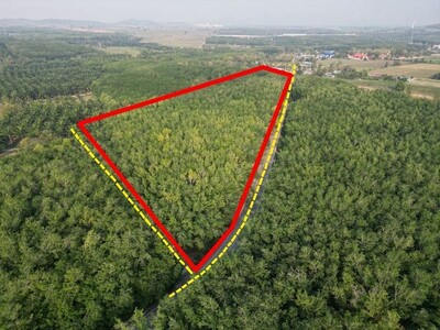 ขายที่ดินใกล้นิคมWHA หนองขาม ศรีราชา ชลบุรี 