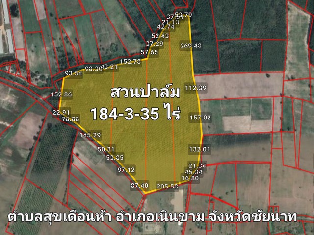 ขายสวนปาล์ม 184-3-35 ไร่ บ.สุขเดือนห้า อ.เนินขาม จ.ชัยนาท 