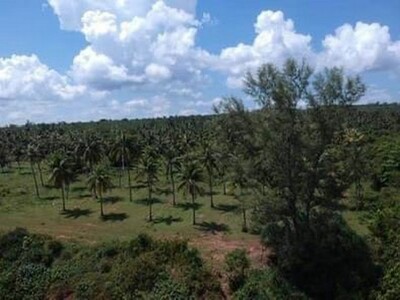 มูลค่าทวีเพิ่มพูนทรัพย์ในดิน  ที่ติดทะเลฝั่งแดงSeaview สวยมาก