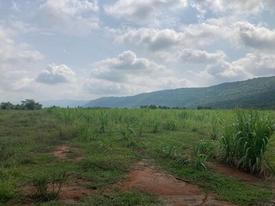 มูลค่าทวีเพิ่มพูนทรัพย์ในดิน  ที่สวยติดเขา เทือกเขายา ขอนแก่น