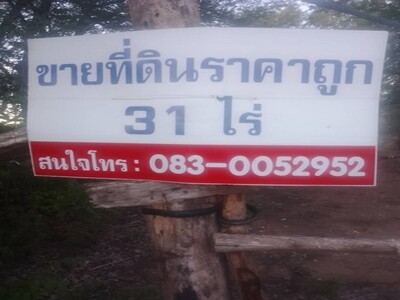 มูลค่าทวีเพิ่มพูนทรัพย์ในดิน  ขายที่แปลงสวยติดติดทางหลวง1107 จ.ตา