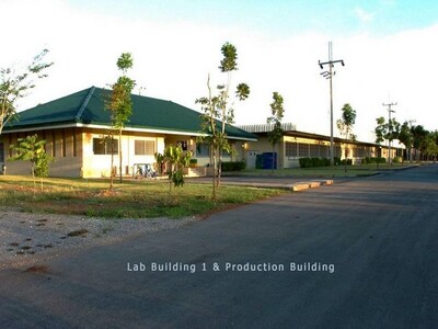 ขายโรงงานพร้อมสวนป่าเบญพรรณ จังหวัดระยอง รวมพื้นที่กว่า 101 ไร่