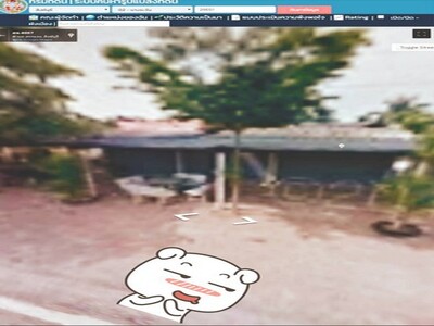 มูลค่าทวีเพิ่มพูนทรัพย์ในดิน บ้านไม้สิงห์บุรี 2ชั้น 116วา 0968821