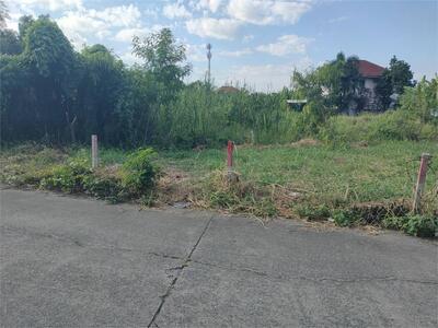 ขายที่ดิน 57.5 ตรว. ติดถนนหน้าหมู่บ้านโดมทอง อ.เมืองปทุมธานี