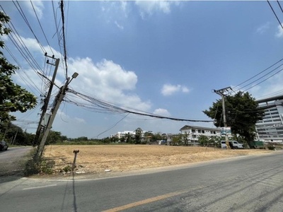 รร.วัดไร่ขิงวิทยา ให้เช่าที่ดินถมแล้วขนาด 2 ไร่ ใกล้วัดไร่ขิง 800