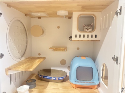 ปล่อยเซ้ง โรงแรมแมว+ร้านคาเฟ่ ริมถนนพระราม 9 ซอย41 ใกล้โรงพยาบาลส