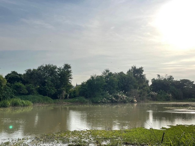 ขายด่วนๆ ที่ดินสวยๆ iราคาถูก ที่ดินติดคลองหัวรอ อยู่ในอำเภอเมืองอยุธยา