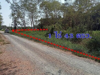  ขายที่ดิน 1 ไร่ 43 ตรว. คลองสิบสอง หนองจอก