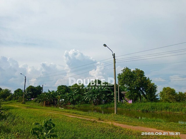 ที่ดิน 1.4 ไร่ ซอยอยู่วิทยา 11 หนองจอก ขาย 2 ล้านบาท Tel : 082-626-8246 
