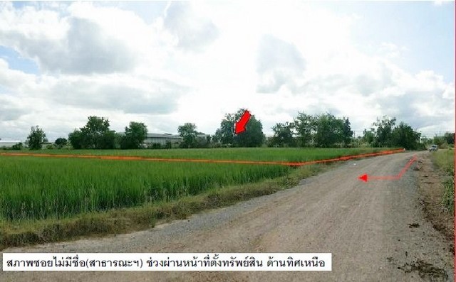 ที่ดินว่างเปล่า ใกล้ธนาคารกรุงเทพ ด่านขุนทด นครราชสีมา PSC08407