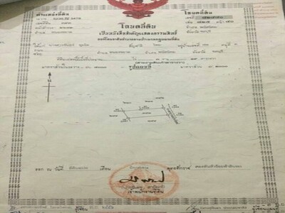 ขายที่ดินหนองขยาดพนัสนิคม เนื้อที่ดิน  319  ตรว