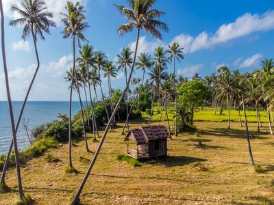 อย่าพลาดดีลเด็ดโปรดี  ที่ดินสวยใกล้หาดฝั่งแดง 2.8 ลบ.