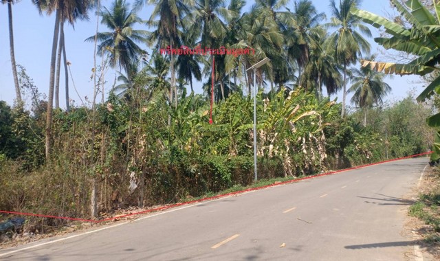 ขายที่ดินว่างเปล่า  อำเภอเมืองแพร่ แพร่ (PKK01-11604)