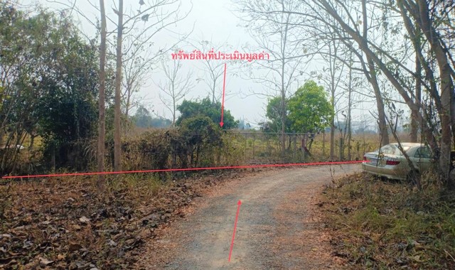 ขายที่ดินว่างเปล่า      อำเภอสอง แพร่ (PKK01-11601)